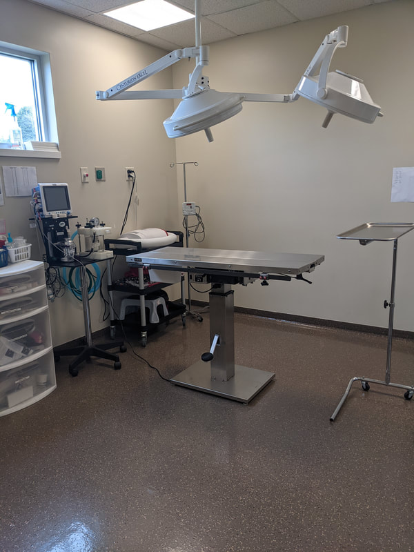 Pet Health Center Of Tiffin-Tiffin IA - Image 3